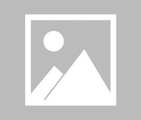 赛事前瞻：青岛VS广东预测分析(2025年08月08日)